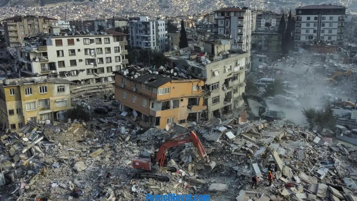 Turkey Syria earthquake will soon normalize – D-8