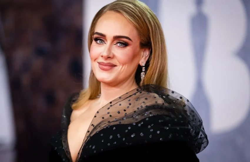 A judge has ordered that all streaming services remove Adele's song